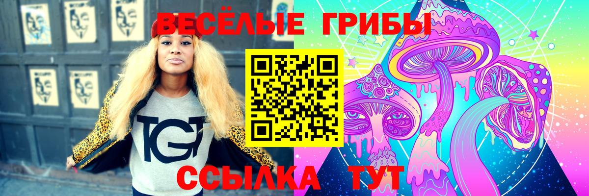 Корсаков  Галлюциногенные грибы GOLDEN TEACHER  Вход с VPN  Галлюциногенные грибы ЛСД 